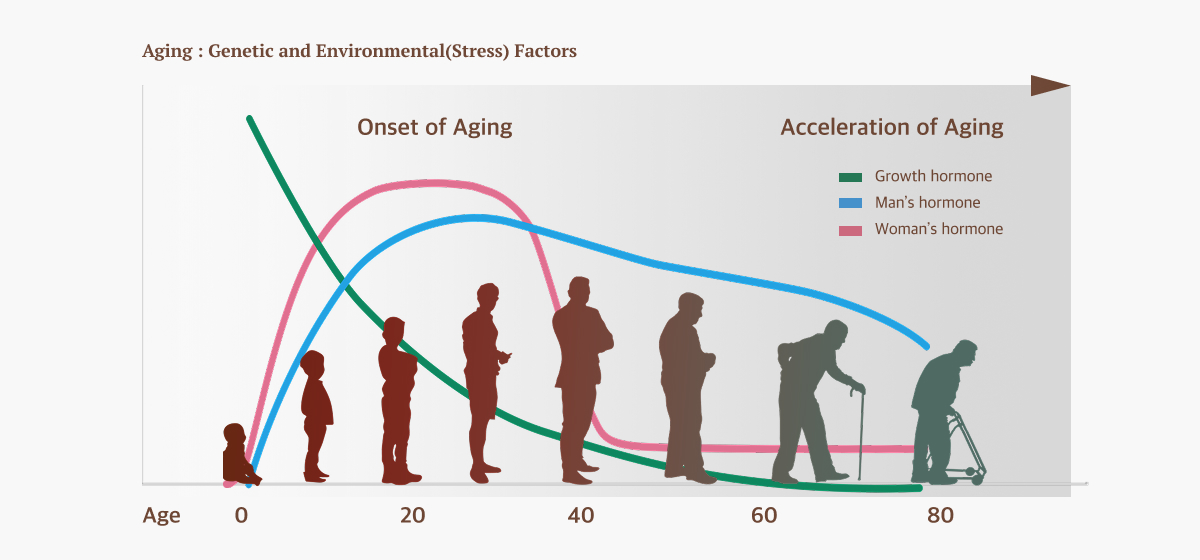 Aging : Genetic and Environmental(Stress) Factors Image